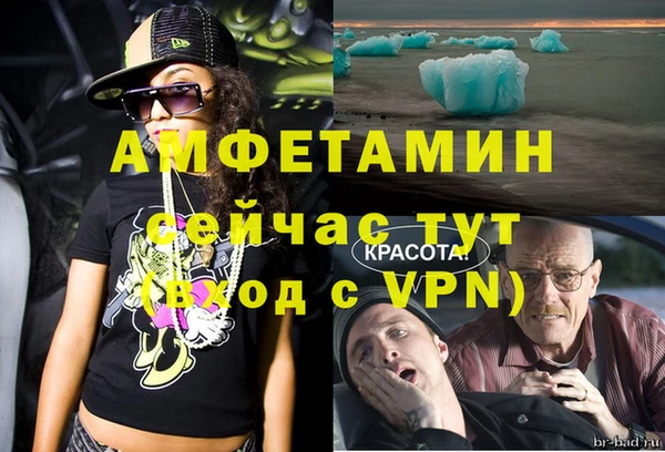 спиды Новозыбков