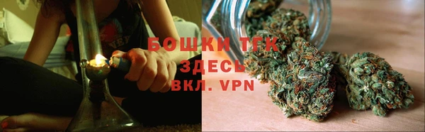 спиды Новозыбков