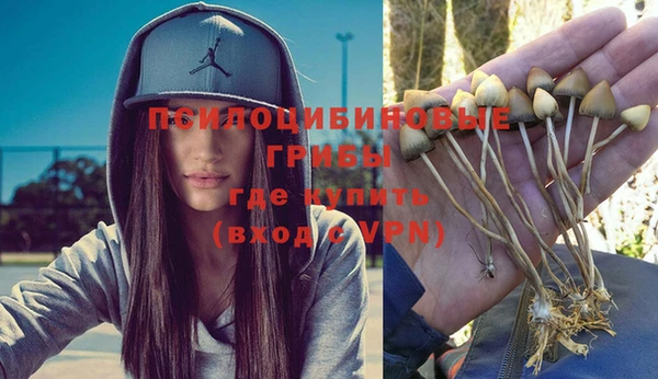 спиды Новозыбков