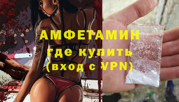 спиды Новозыбков