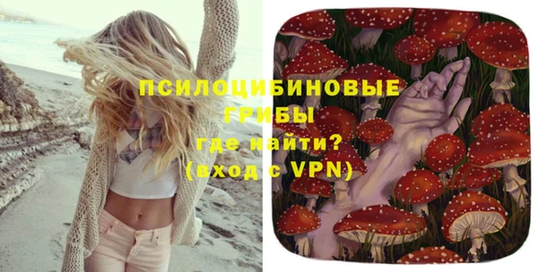 ALPHA PVP Новодвинск