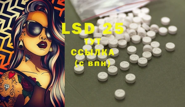 спиды Новозыбков
