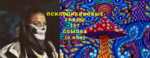 ALPHA PVP Новодвинск